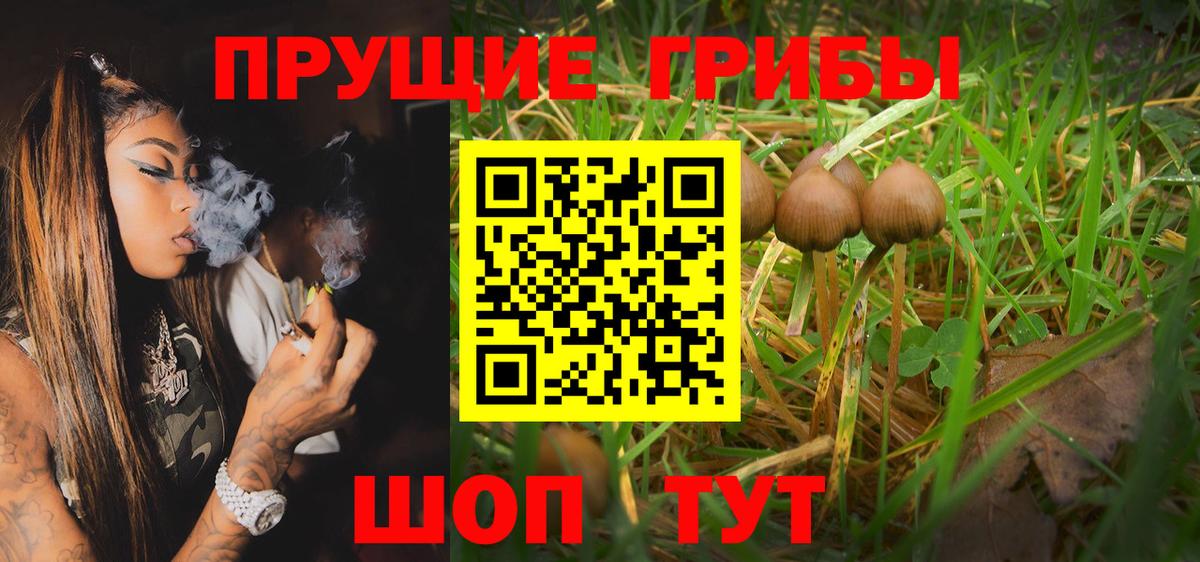Галлюциногенные грибы Psilocybe  Галлюциногенные грибы MAGIC MUSHROOMS  где можно купить   Вход с VPN  Вольск 